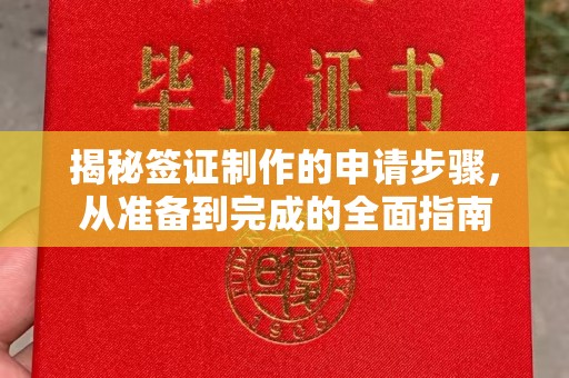 长阳揭秘签证制作的申请步骤，从准备到完成的全面指南
